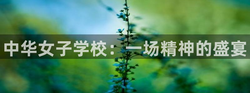 漫蛙漫画(网页版免费)