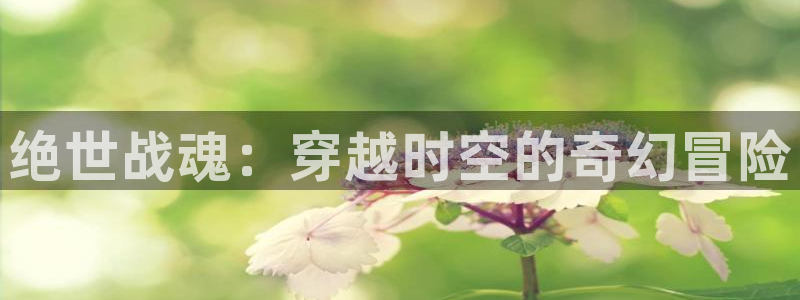 求漫蛙官网