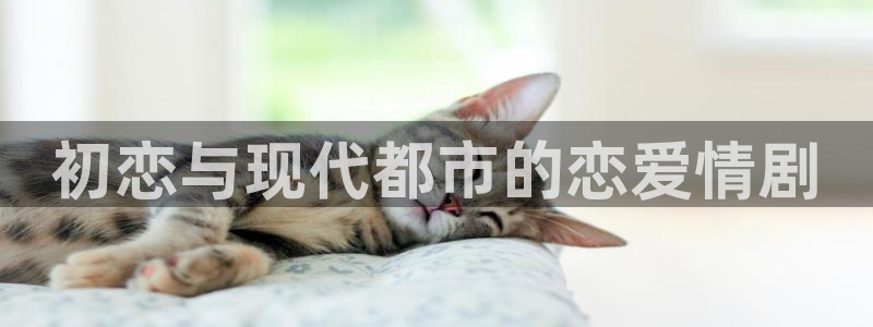 漫蛙登录账号