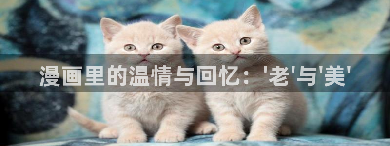 漫蛙防走失站地址