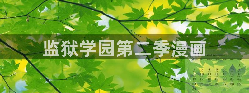 漫蛙2官网下载app