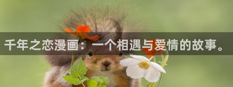 漫蛙韩漫官网入口