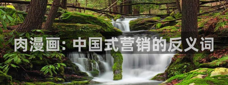 漫蛙怎么登录账号：肉漫画: 中国式营销的反义词