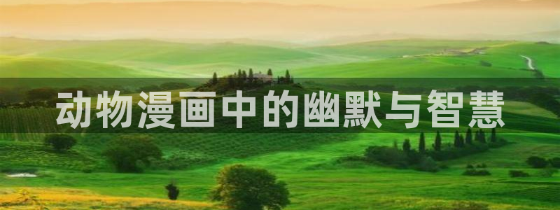 漫蛙怎么看不了：动物漫画中的幽默与智慧