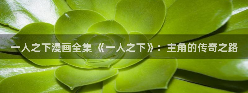 漫蛙的官网