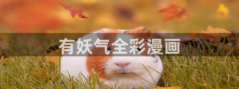 漫蛙台版漫画入口