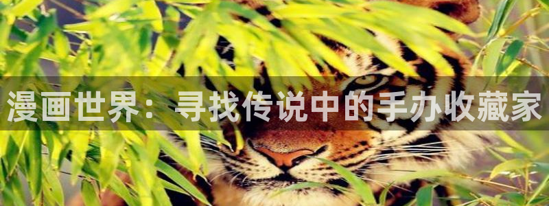 漫蛙破解版在线入口网址