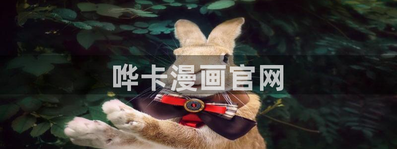 漫蛙(这个绝对能搜到)