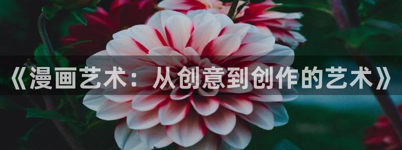 漫蛙纯净版