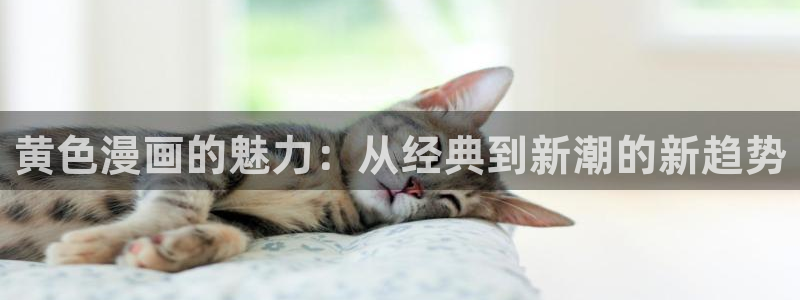 漫蛙漫画网站官网下载入口