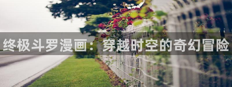 漫蛙怎么登录邮箱