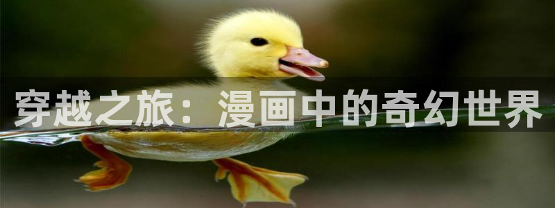 漫蛙要加速器吗