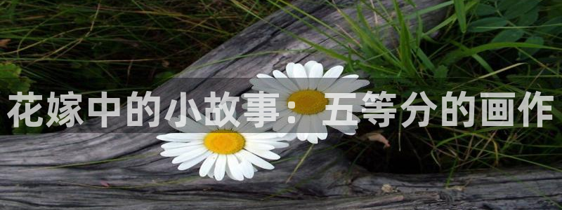 漫蛙漫画(网页版)入口