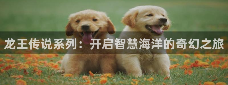 漫蛙免费下载正版入口