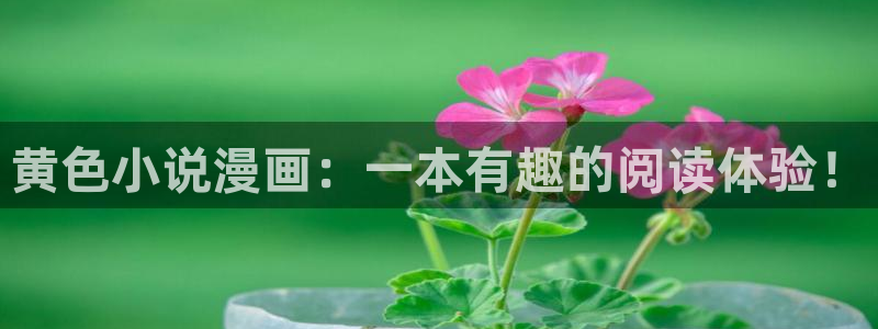 漫蛙怎么收藏漫画：黄色小说漫画：一本有趣的阅读体验！