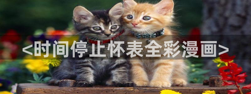 漫蛙漫画(网页入口)漫蛙manwa2官网版：<时间停止怀表全彩漫画>